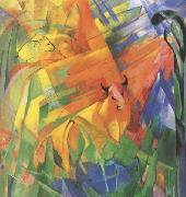 Franz Marc Animals in Landscape (mk34) oil painting